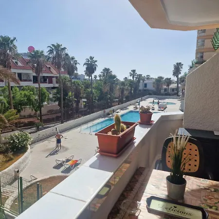 Fresh In Americas, Pe210 Next To The *