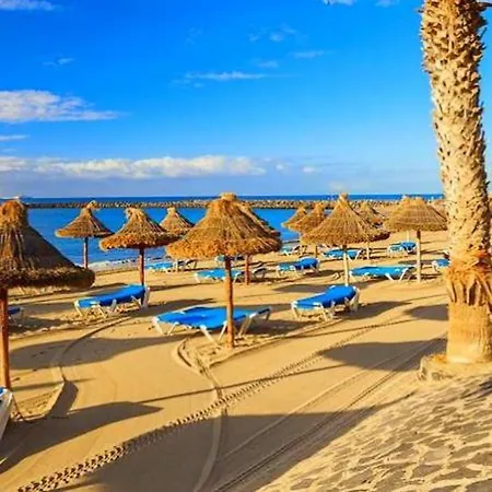 Fresh In Americas, Pe210 Next To The Lejlighed Arona (Tenerife)