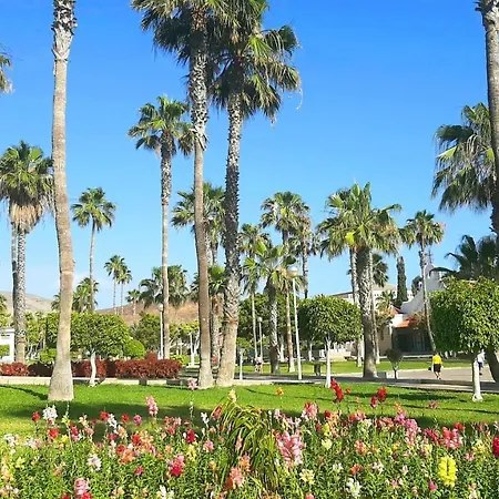 Fresh In Americas, Pe210 Next To The Lägenhet Arona (Tenerife)