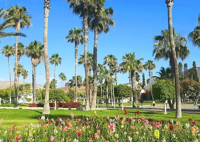 Fresh In Americas, Pe210 Next To The Apartment Arona (Tenerife)