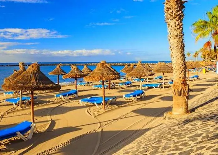 Fresh In Americas, Pe210 Next To The Apartment Arona (Tenerife)